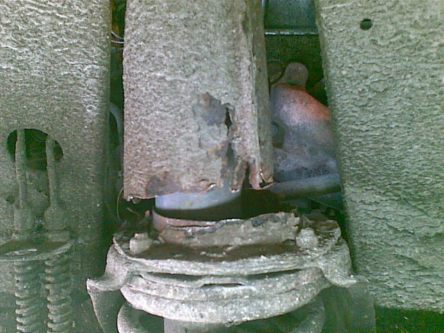 [Image: 01082010_G.jpg]
